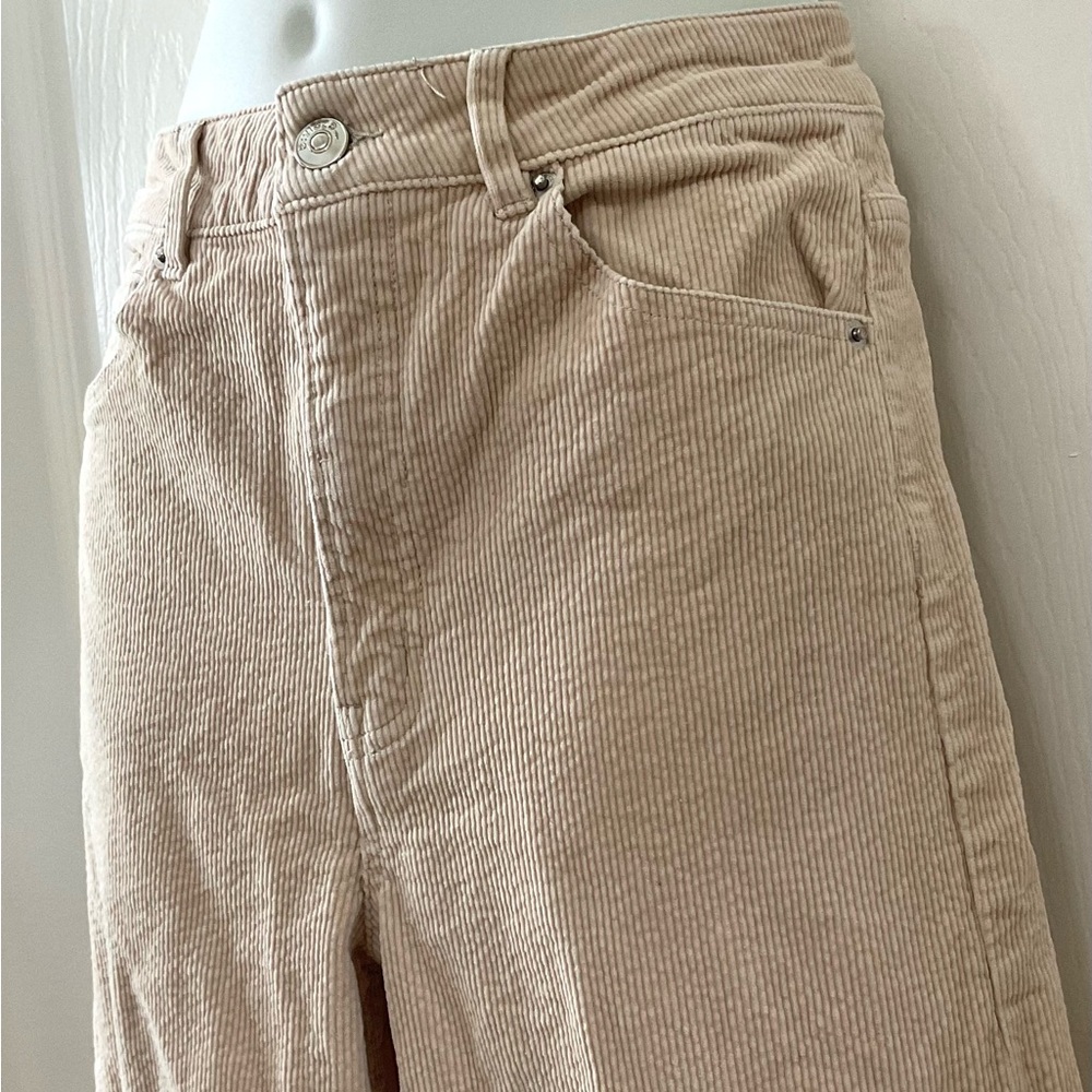 Divided Tan Corduroy Pants - Picture 3 of 7